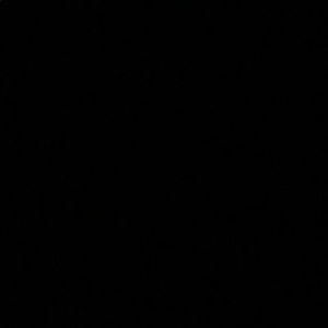 Meet your Posher, Evan